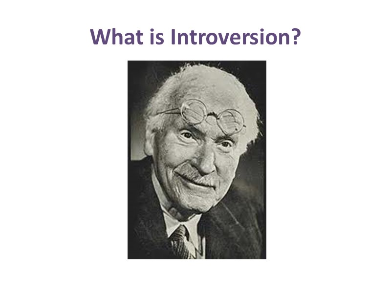 What is Introversion?